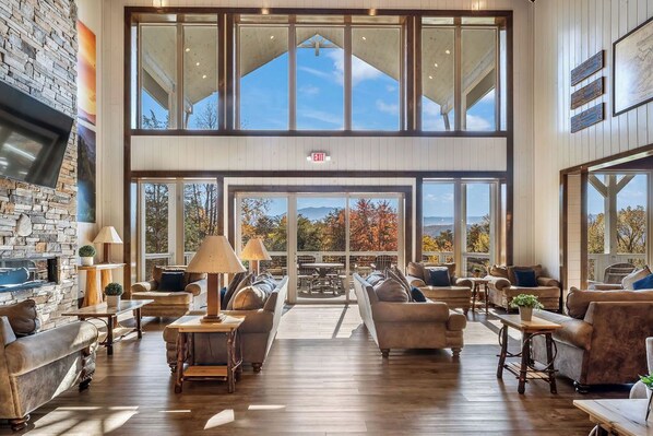 TV, fireplace, video games, DVD player