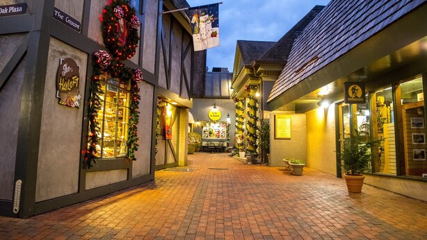 Una calle estrecha flanqueada por comercios, adornada con luces y guirnaldas navideñas.