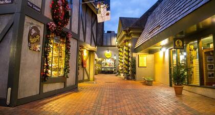 Bear Overlook 🐻- #208 - 3Bed/3Bath - Walk to Donut Friar & Aquarium!