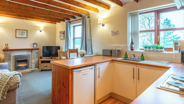 Une cuisine chaleureuse avec un plafond en bois, une cheminée en pierre et un coin repas équipé d’un téléviseur.