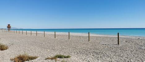 Playa en los alrededores 