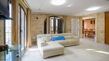 Télévision, cheminée, lecteur de DVD, chaßne hi-fi