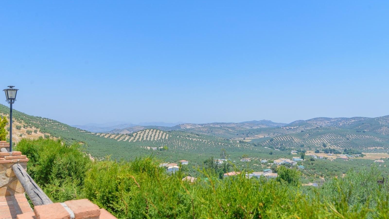 A view of a hilly landscape with olive groves and scattered buildings.