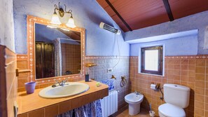 Combined shower/tub, hair dryer