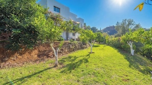 Un jardin bien entretenu, avec un sentier menant à un bâtiment blanc, entouré d’une végétation luxuriante et sous un ciel bleu dégagé.