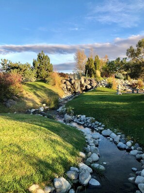 A serene garden with a small stream, surrounded by rocks and trees.