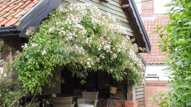 A covered patio area with wicker furniture and a bicycle. - 4 bedroom accommodation in Pulham Market, near Diss (Pulham Market, near Diss)