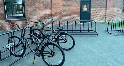 Spin & Sip | Dog-Friendly Vinyl Vibes Downtown