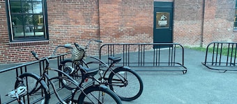Spin & Sip | Dog-Friendly Vinyl Vibes Downtown