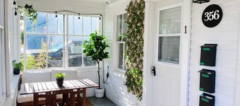 Spin & Sip | Dog-Friendly Vinyl Vibes Downtown