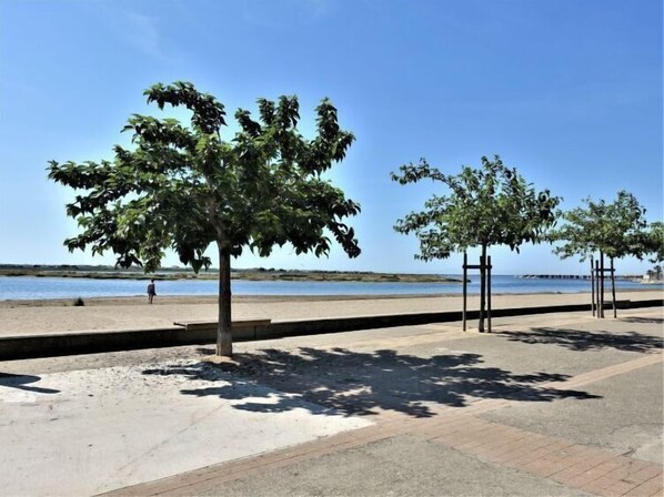 A paved walkway with trees and a view of the water.