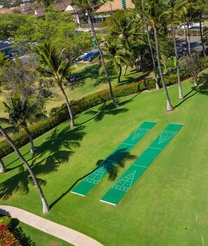 Sports court -   The Maui Moon Oceanfront Condo- Perfect for couples! (Kihei)