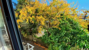 A view from a window overlooking a garden with trees in autumn colors, a wooden fence, and a white railing.
