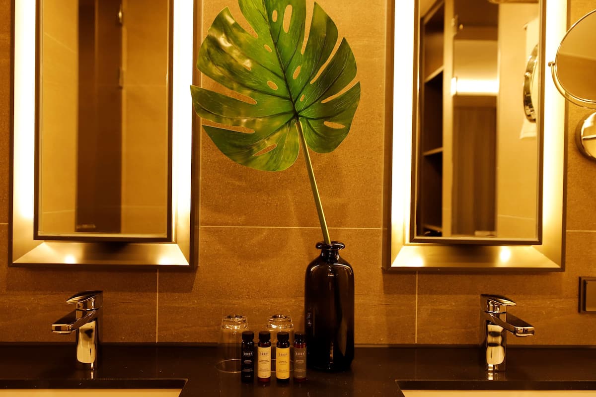 shower, rainfall showerhead, hair dryer, bathrobes