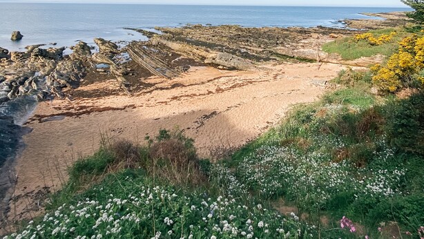 A coastal landscape with rocky terrain, sandy beach, and wildflowers. - Luxury Townhouse with Hot tub & Parking* Special offer 20% off August dates* (St Andrews)