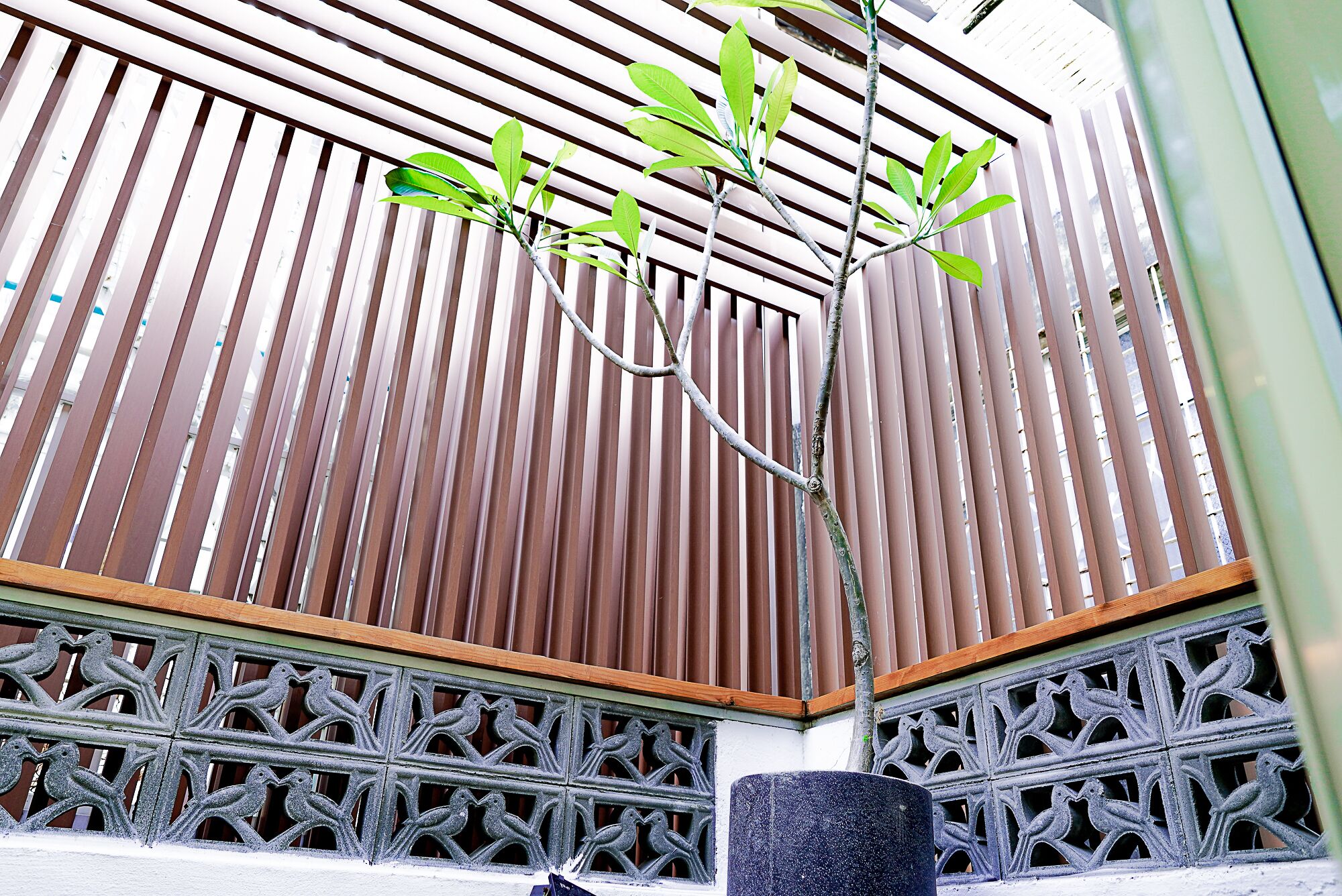 Superior Quadruple Room | Terrace/patio