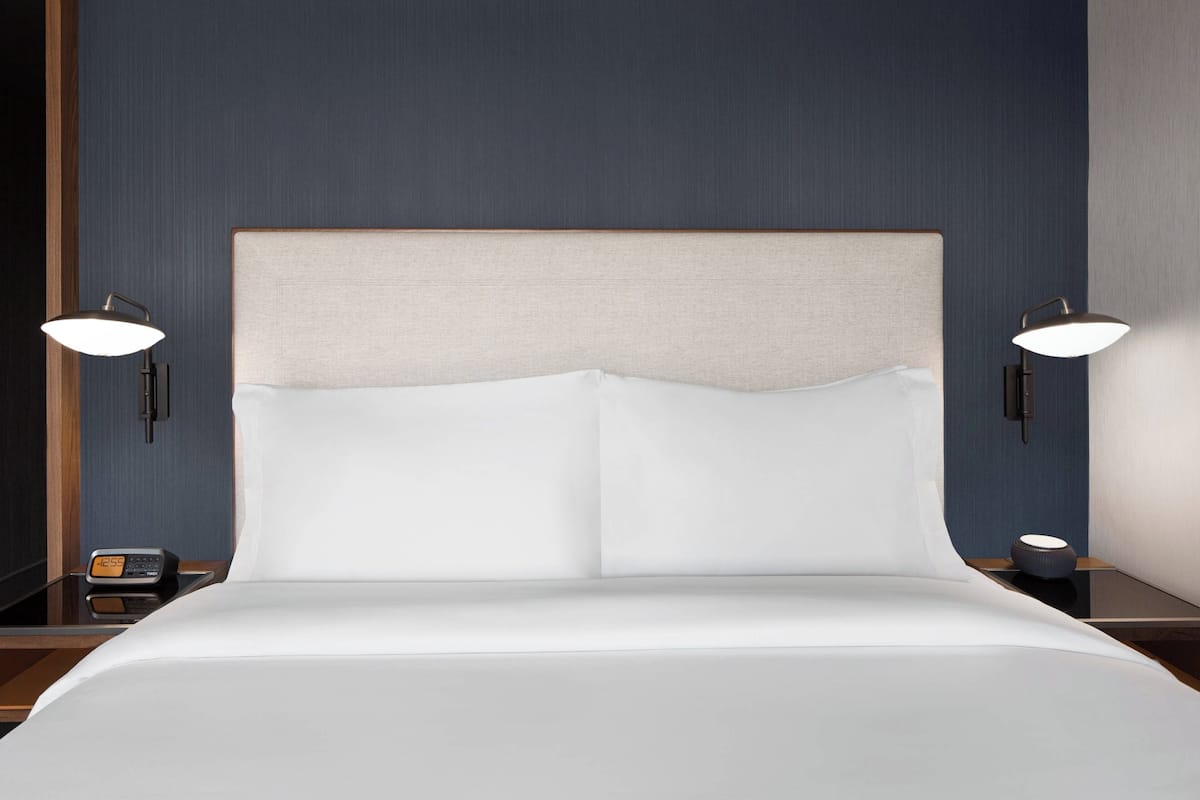 Room, 1 King Bed with Sofa bed