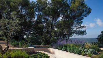 Áreas de la propiedad