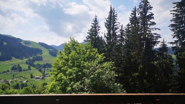 Une vue pittoresque depuis un balcon doté d’une balustrade en bois, donnant sur une vallée verdoyante parsemée d’arbres et bordée de collines lointaines.