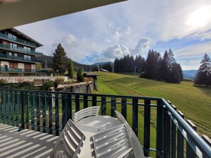 Property grounds - Ski-in apartment, renovated, 2 br., Les Gets (Les Gets)