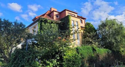 Apartment I - Am Moorteich - - Apartment