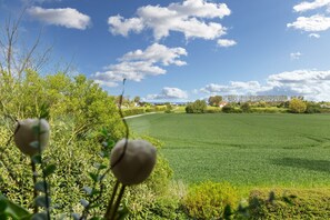 Imagen sin descripción, 2 de 17, botón