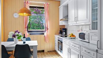 Kühlschrank, Mikrowelle, Ofen, Geschirrspüler