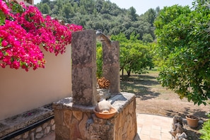 Jardines del alojamiento