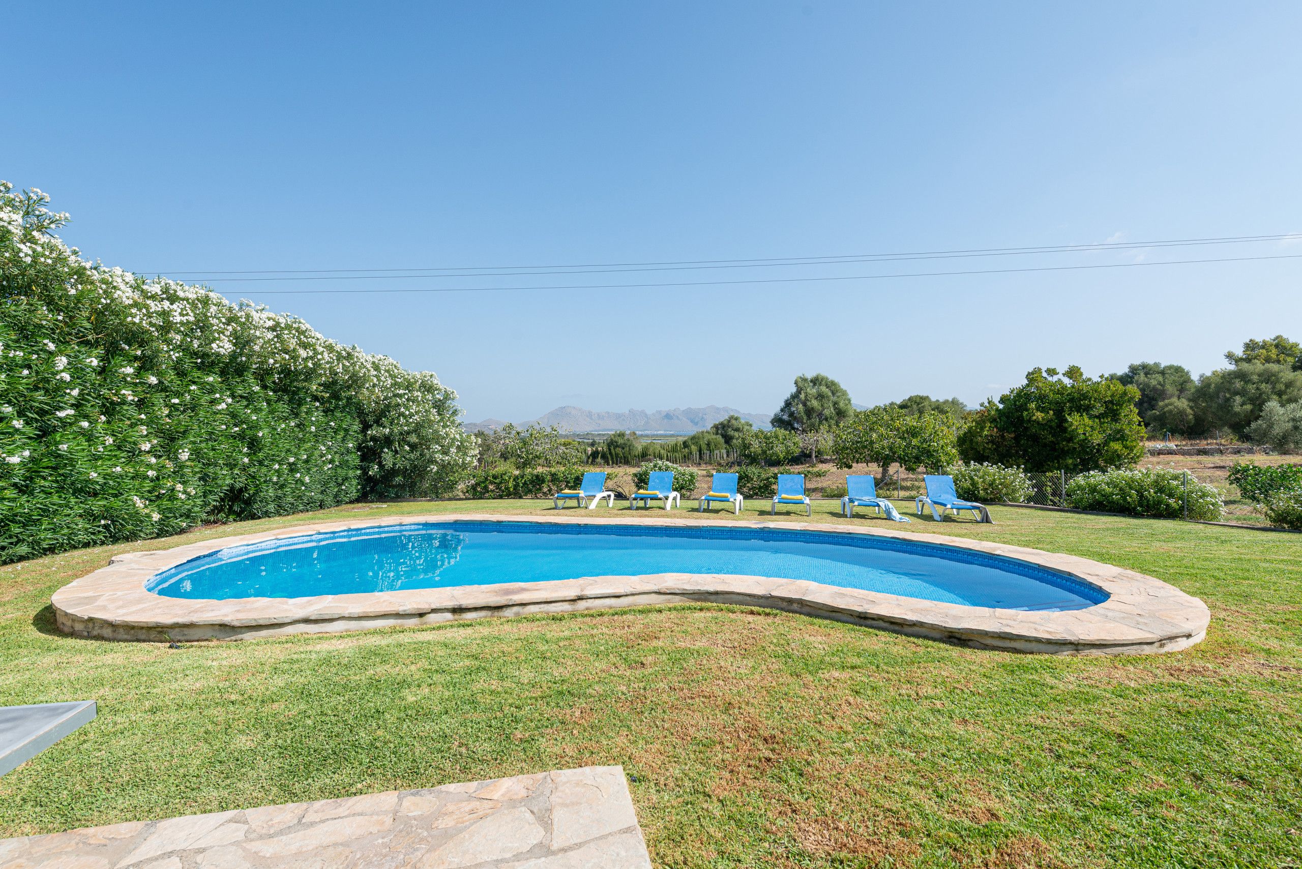 Une piscine à bord incurvé, entourée d’une pelouse verdoyante et bordée d’une rangée de chaises longues bleues.