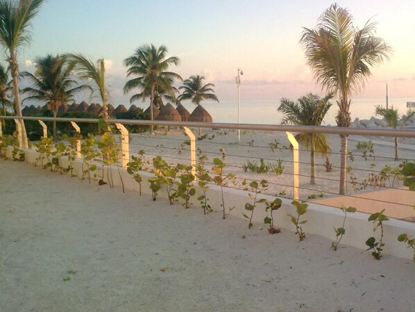 A beach with palm trees, a sandy area, and a metal railing. - La Amada Residences Luxury (Punta Sam)
