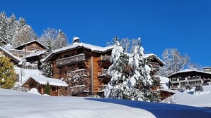 A wooden chalet with balconies, surrounded by snow-covered trees and a clear blue sky. - Quiet 3-room Apartment Les Gets, incl. garage (Les Gets)