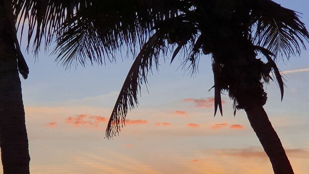 A beach scene with a sunset, palm trees, and beach chairs. - Extra Spacious Florida Villa, 15 mins to Disney. (Davenport)