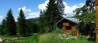 Spacious 4-room chalet in the forest - Les Saisies