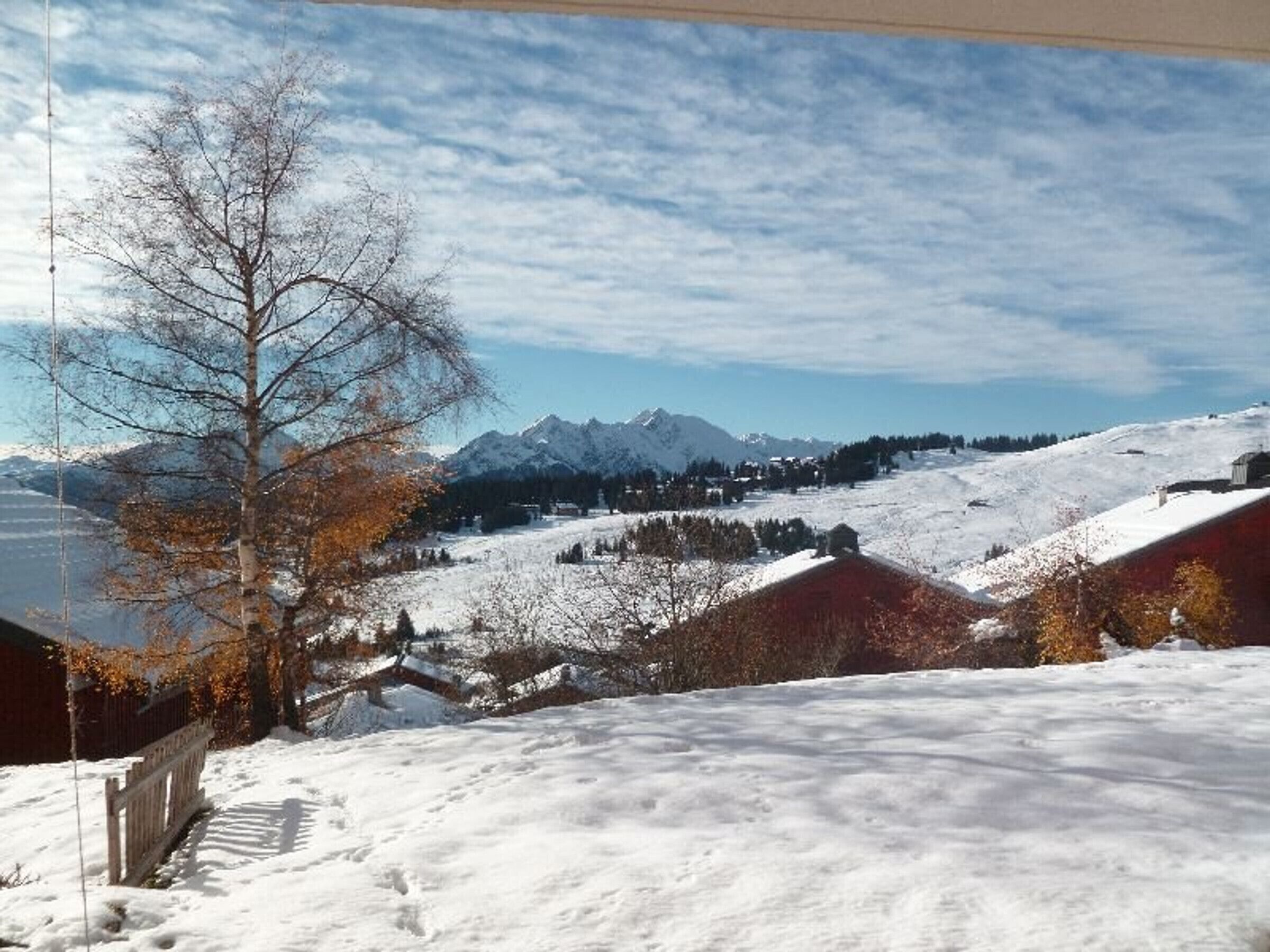 A snowy landscape with mountains in the background, a leafless tree, and a wooden fence.
