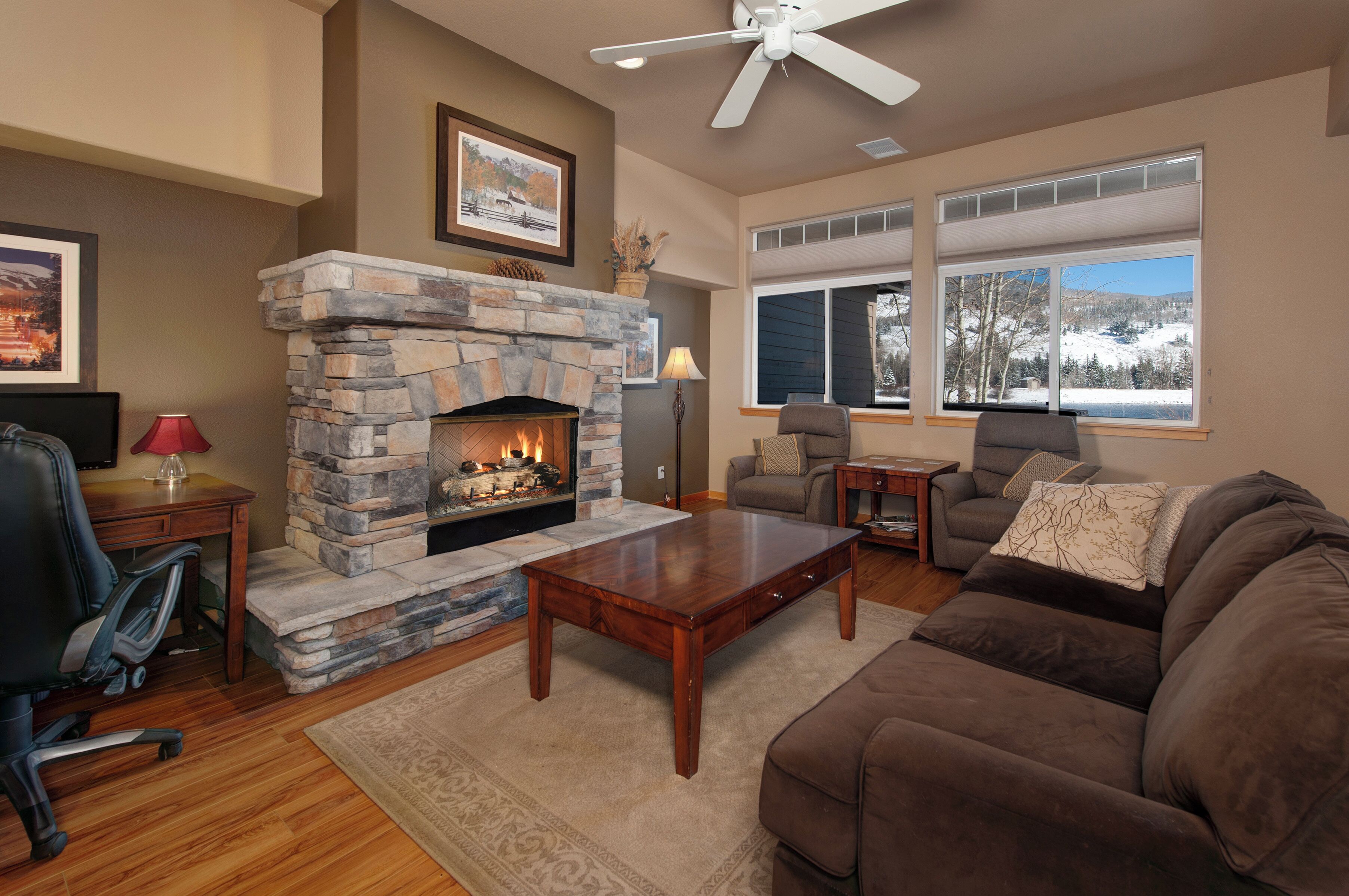 电视、壁炉、DVD 播放器