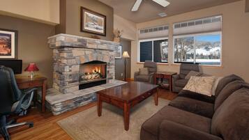 电视、壁炉、DVD 播放器