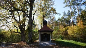 Un kiosque avec un toit rouge, entouré d’arbres et agrémenté d ’un banc.