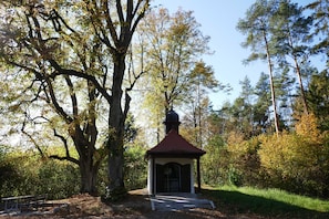 Ein Gartenpavillon mit rotem Dach, umgeben von Bäumen und einer Bank.