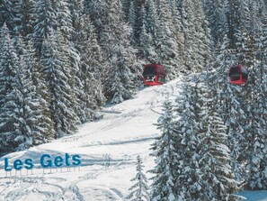 Sneeuw- en skisporten