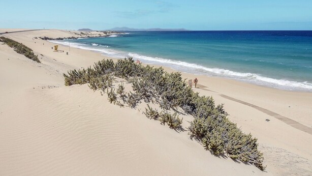 Ein Strand mit Dünen, einem klaren blauen Ozean und spärlicher Vegetation.