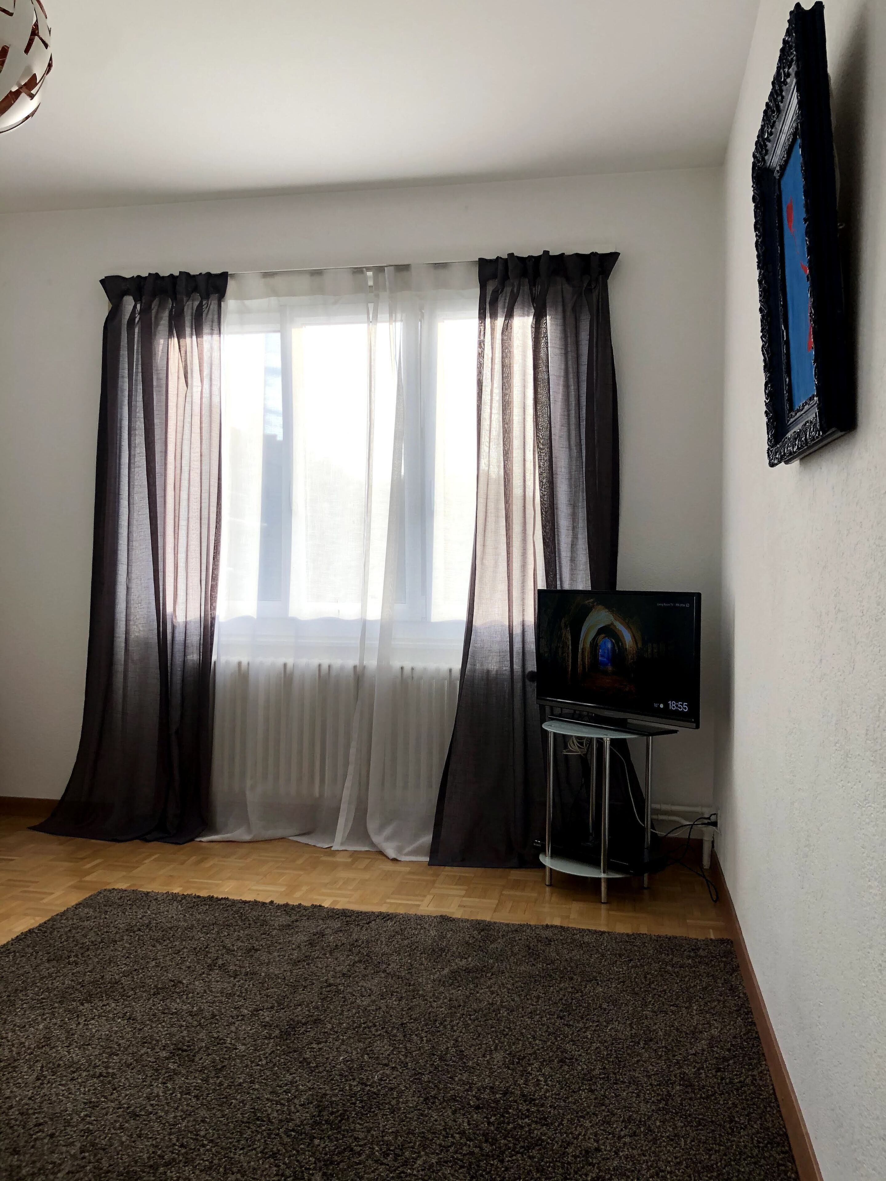 Cool Flat + 4 Bikes to Explore Geneva