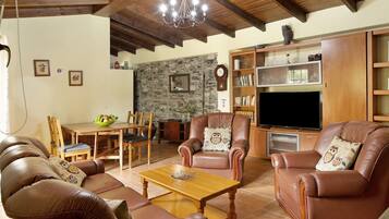 TV, fireplace, DVD player, ping pong