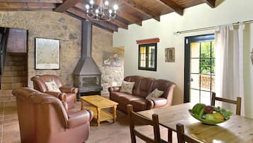 TV, fireplace, DVD player, ping pong