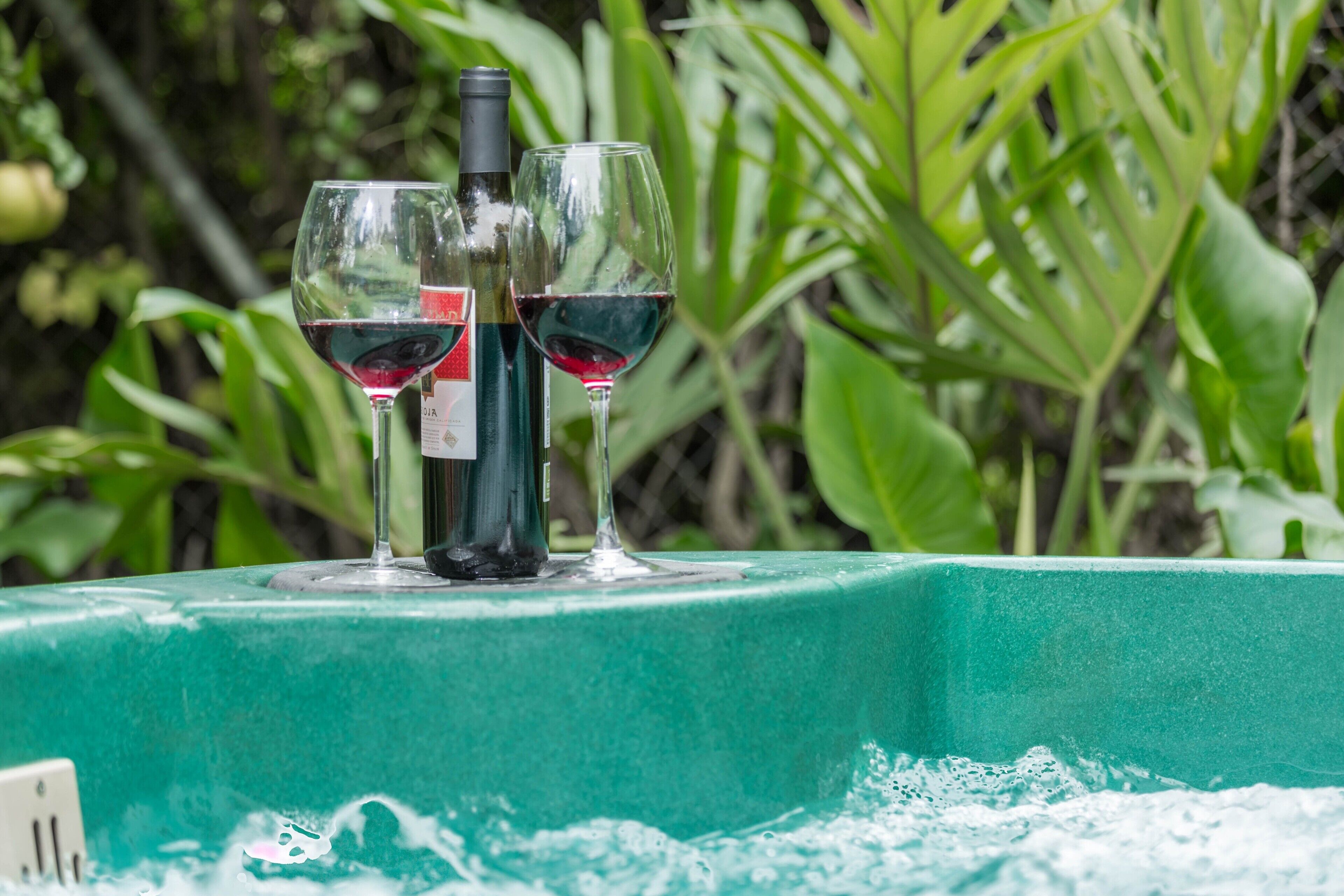 A table with two wine glasses and a bottle, set against a backdrop of green foliage.