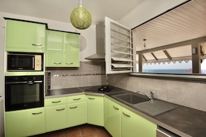 Une cuisine avec des meubles de couleur verte, un four noir, un évier en acier inoxydable et une vue sur la mer par une fenêtre.