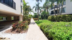 A pathway flanked by neatly trimmed hedges and palm trees, leading to a modern building with balconies. - Anna Maria Island Getaway (Holmes Beach)