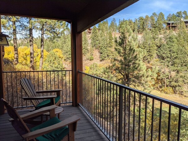 Terrain de l’hébergement 