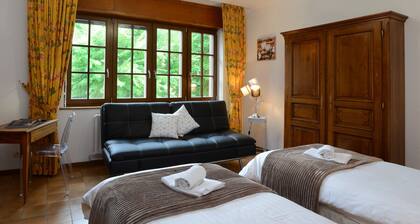 KAYSERSBERG centre-ville - COTE VIGNOBLE - TripAlsace