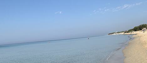 Playa en los alrededores
