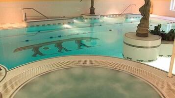 Indoor pool, outdoor pool